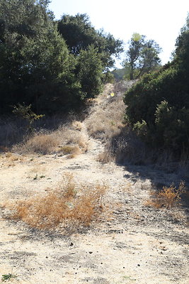 Malibu Creek State Park-6D-Nov2017-025