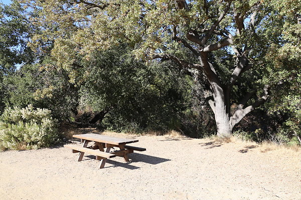 Malibu Creek State Park-6D-Nov2017-038