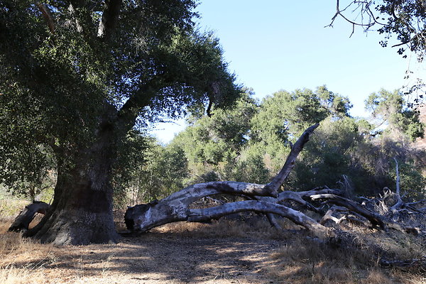 Malibu Creek State Park-6D-Nov2017-143