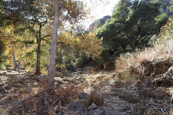 Malibu Creek State Park-6D-Nov2017-160