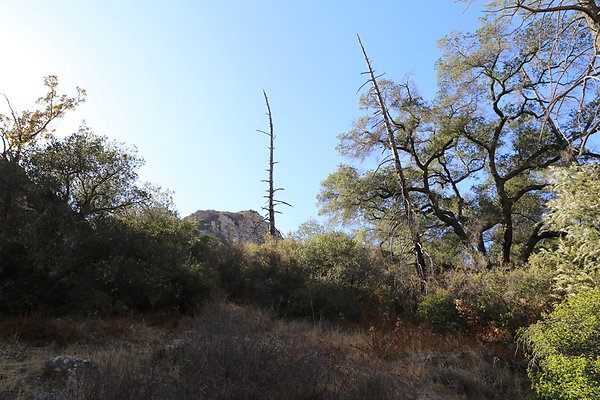 Malibu Creek State Park-6D-Nov2017-148