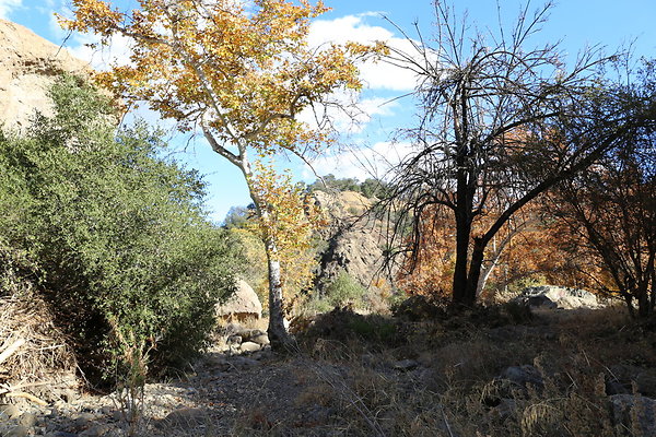 Malibu Creek State Park-6D-Nov2017-159
