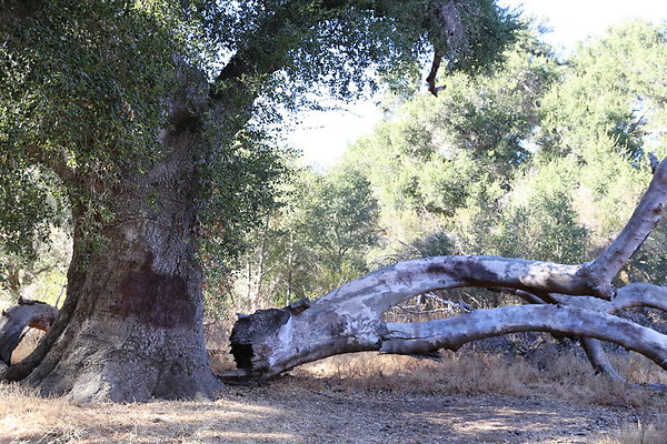 Malibu Creek State Park-6D-Nov2017-144