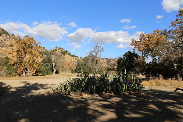 Malibu Creek State Park-6D-Nov2017-122