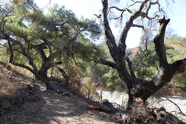 Malibu Creek State Park-6D-Nov2017-133