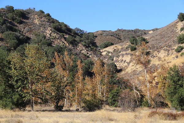 Malibu Creek State Park-6D-Nov2017-110