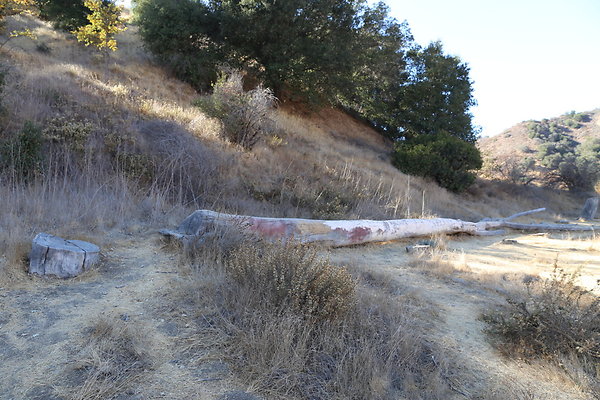 Malibu Creek State Park-6D-Nov2017-104