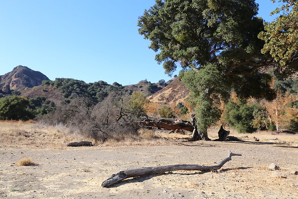 Malibu Creek State Park-6D-Nov2017-109