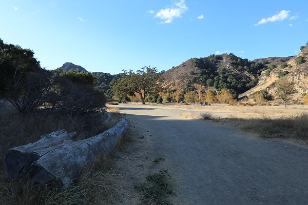 Malibu Creek State Park-6D-Nov2017-205