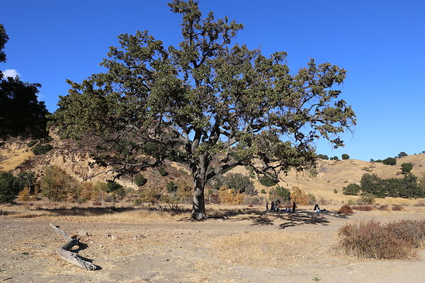 Malibu Creek State Park-6D-Nov2017-204