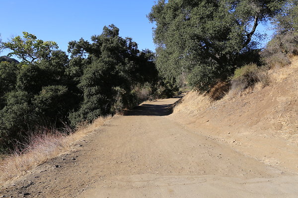 TRAIL-2-Walk to Visitor Center