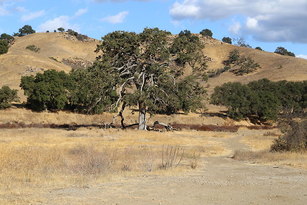 Malibu Creek State Park-6D-Nov2017-107