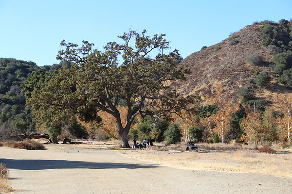 Malibu Creek State Park-6D-Nov2017-106