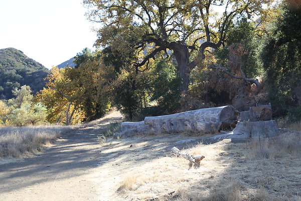 Malibu Creek State Park-6D-Nov2017-094