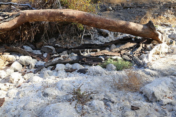 Malibu Creek State Park-6D-Nov2017-196