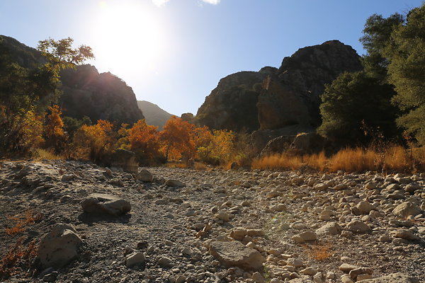 Malibu Creek State Park-6D-Nov2017-193
