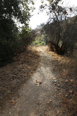 FC Park-Dale-Geo6D-Nov2017-185