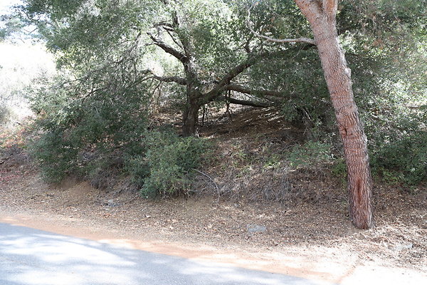 FC Park-Dale-Geo6D-Nov2017-190