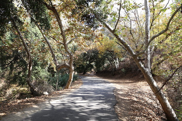 FC Park-Dale-Geo6D-Nov2017-127