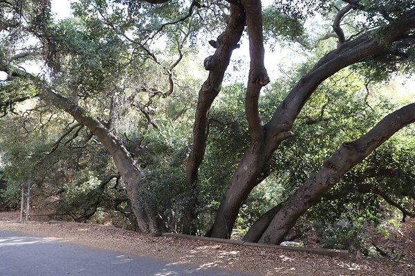 FC Park-Dale-Geo6D-Nov2017-121
