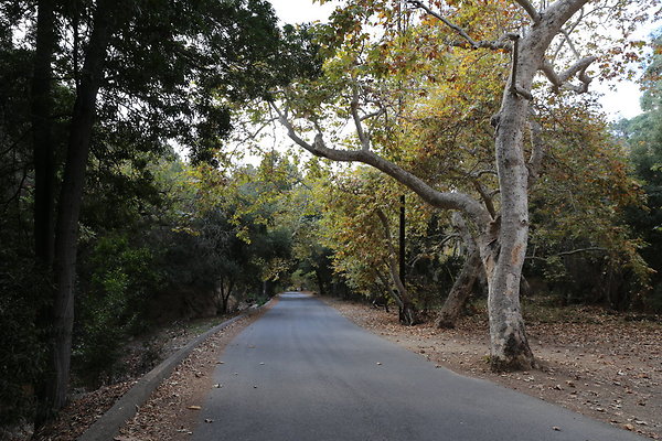 FC Park-Dale-Geo6D-Nov2017-162