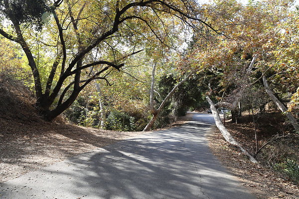FC Park-Dale-Geo6D-Nov2017-132