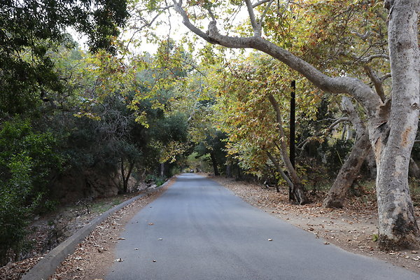 FC Park-Dale-Geo6D-Nov2017-160