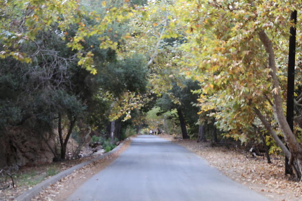 FC Park-Dale-Geo6D-Nov2017-159