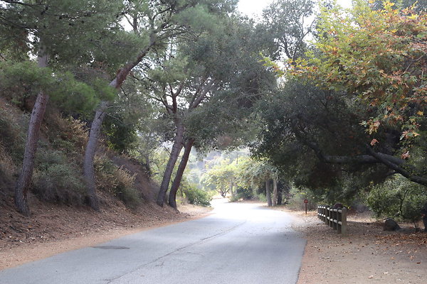 FC Park-Dale-Geo6D-Nov2017-180