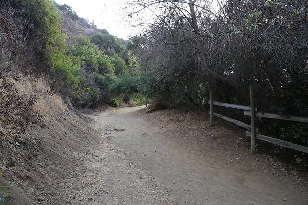 FC Park-Dale-Geo6D-Nov2017-173