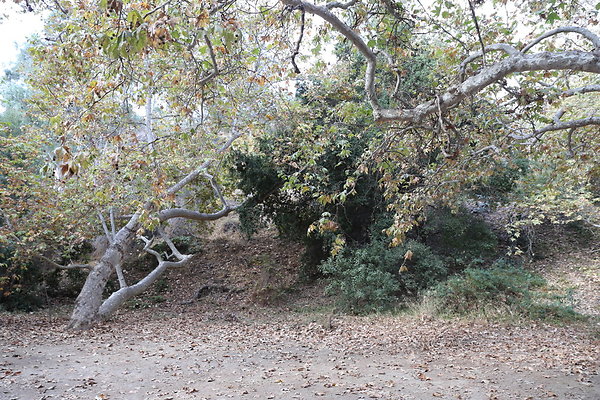 FC Park-Dale-Geo6D-Nov2017-148