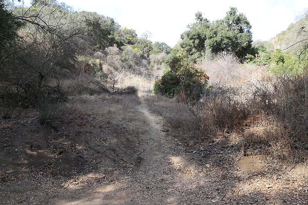 FC Park-Dale-Geo6D-Nov2017-138