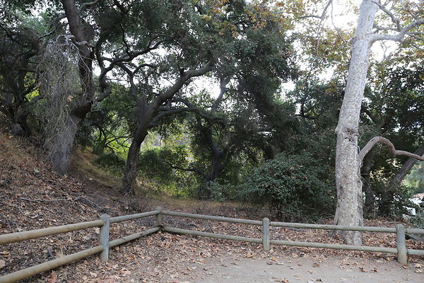 FC Park-Dale-Geo6D-Nov2017-175