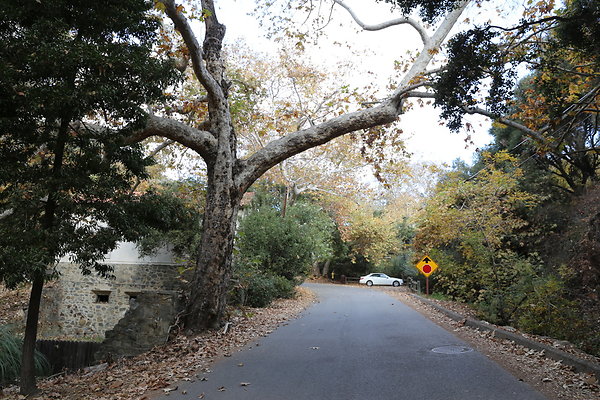 FC Park-Dale-Geo6D-Nov2017-163