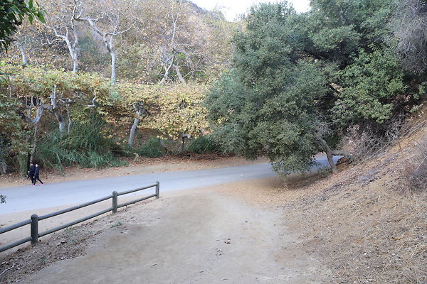 FC Park-Dale-Geo6D-Nov2017-174