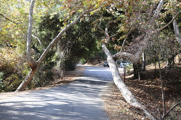 FC Park-Dale-Geo6D-Nov2017-133
