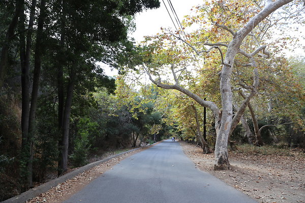 FC Park-Dale-Geo6D-Nov2017-145