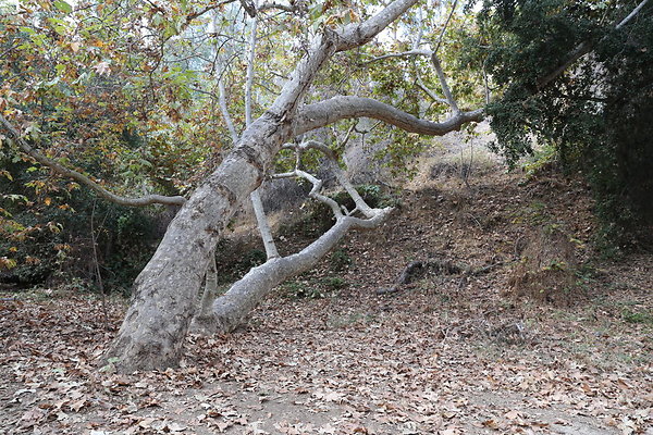 FC Park-Dale-Geo6D-Nov2017-155