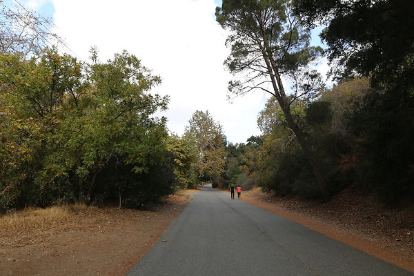 FC Park-Dale-Geo6D-Nov2017-182