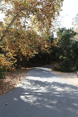 FC Park-Dale-Geo6D-Nov2017-111