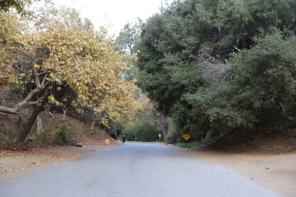 FC Park-Dale-Geo6D-Nov2017-171