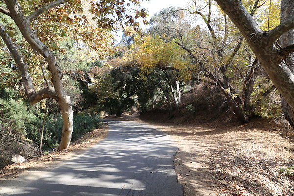 FC Park-Dale-Geo6D-Nov2017-129
