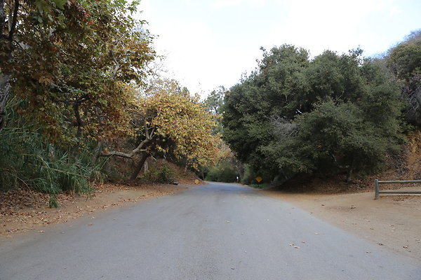 FC Park-Dale-Geo6D-Nov2017-166