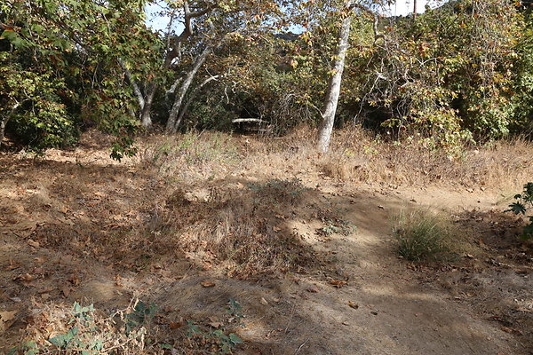 FC Park-Dale-Geo6D-Nov2017-189