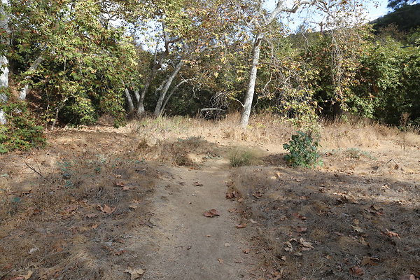 FC Park-Dale-Geo6D-Nov2017-186