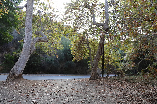 FC Park-Dale-Geo6D-Nov2017-153