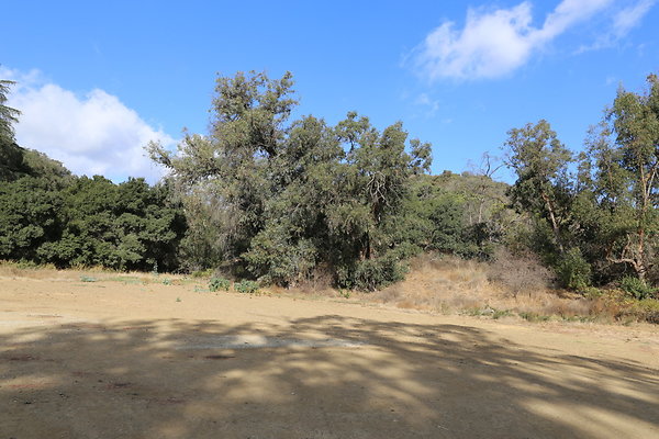 FC Park-Dale-Geo6D-Nov2017-008