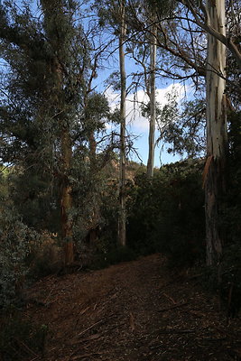 FC Park-Dale-Geo6D-Nov2017-033