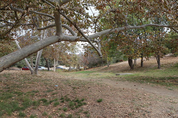 FC Park-Dale-Geo6D-Nov2017-283