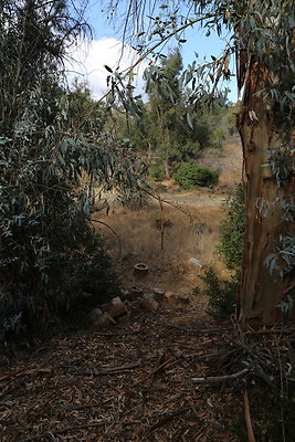 FC Park-Dale-Geo6D-Nov2017-031